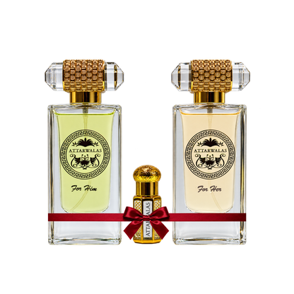 THE AFTER DARK COLLECTION 65ML