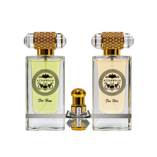 THE EVERYDAY EDIT 65ML